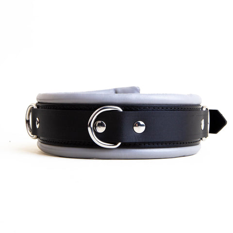 Padded Leather Collar 5cm