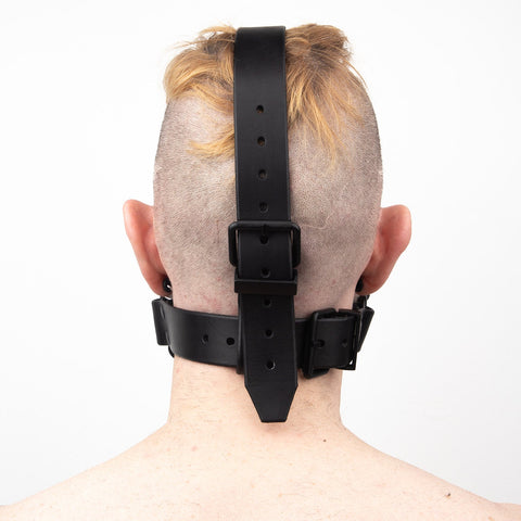 Ball Gag Head Harness - Fetters