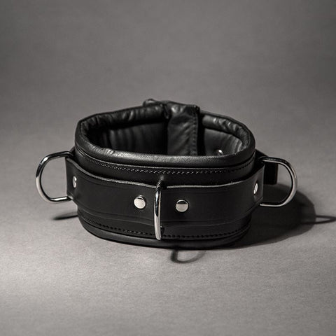 Padded Leather Collar - Fetters