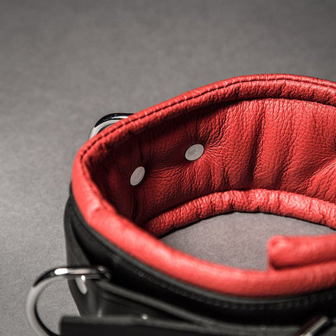 Padded Leather Collar - Fetters