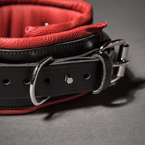 Padded Leather Collar - Fetters