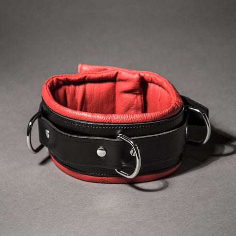 Padded Leather Collar - Fetters