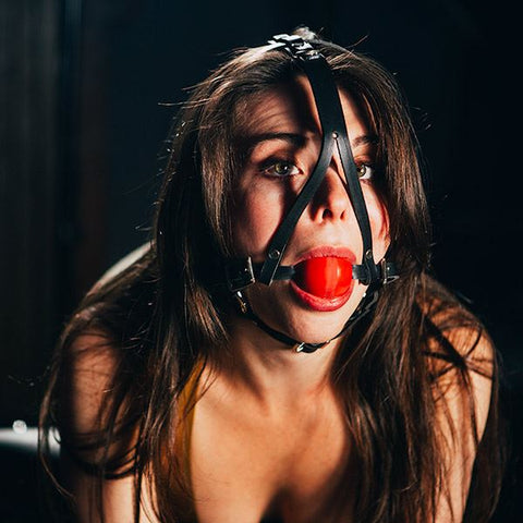 Head Harness & Ball Gag