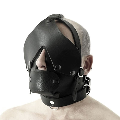 Discipline Leather Head Harness - Fetters