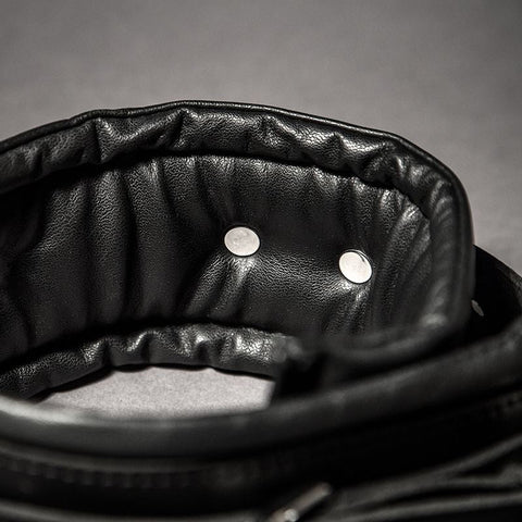 Padded Leather Collar - Fetters